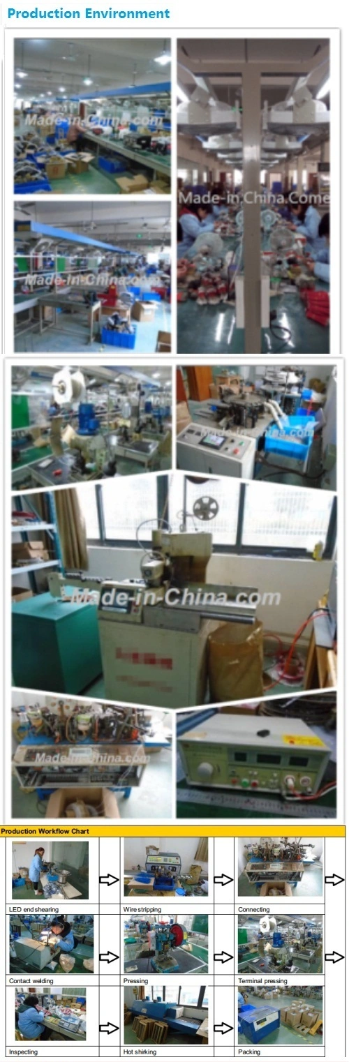 পিসি কাস্টম অটোমোটিভ ওয়্যারিং হারনেস সমাবেশ জন্য নিওন ল্যাম্প 3